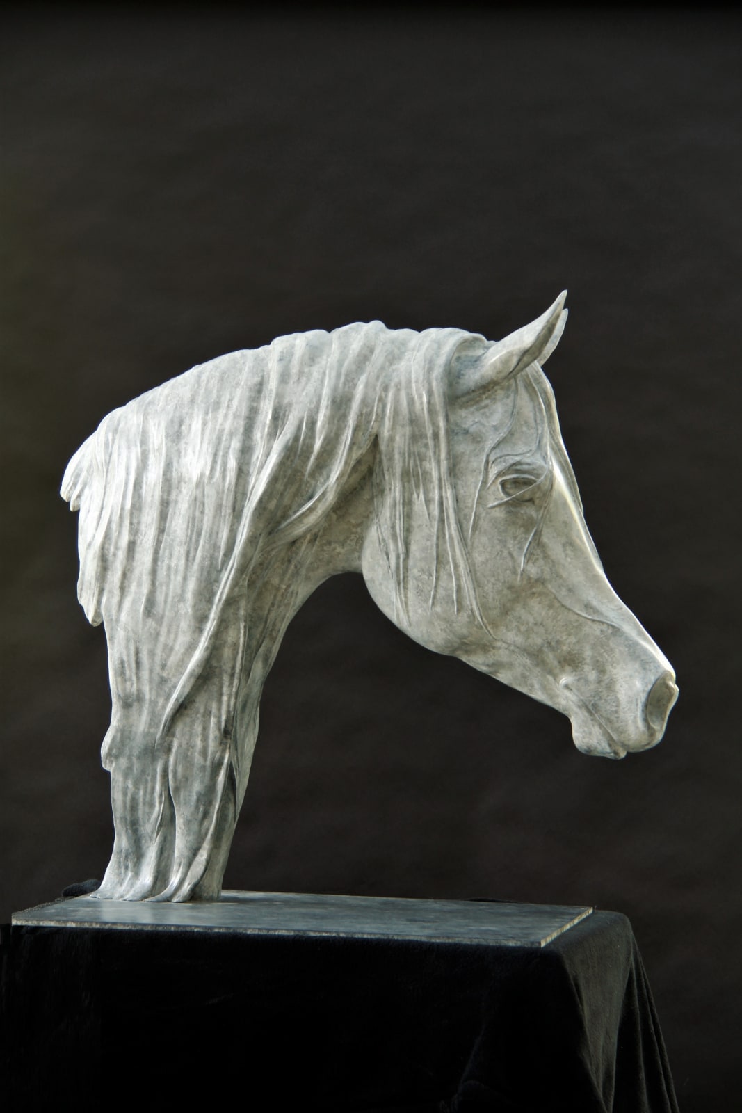 Arab Horse