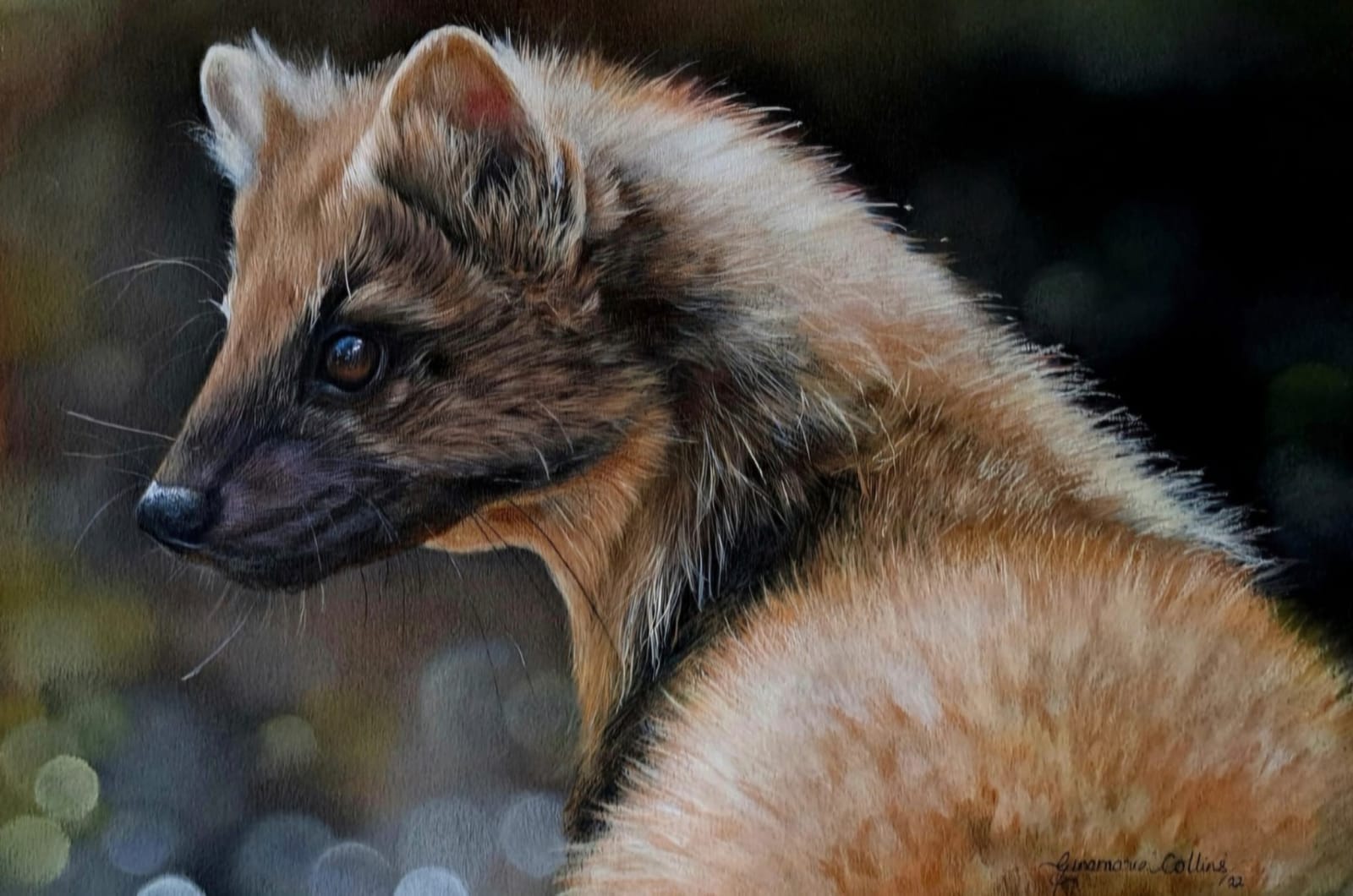 Gina Marie Collins, Master of Pines (Pine Marten)