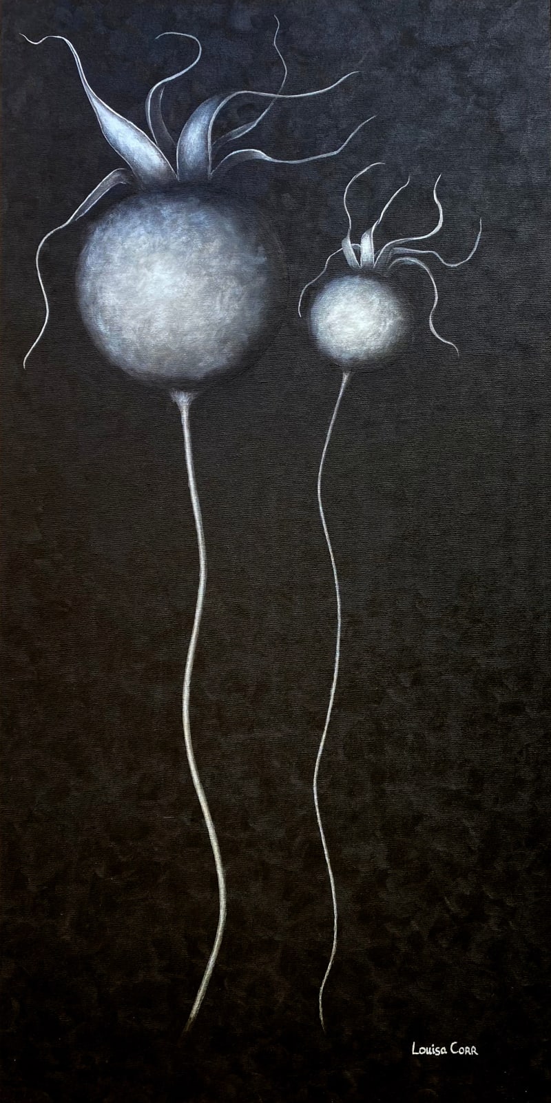 Louisa Corr, Silver Lining