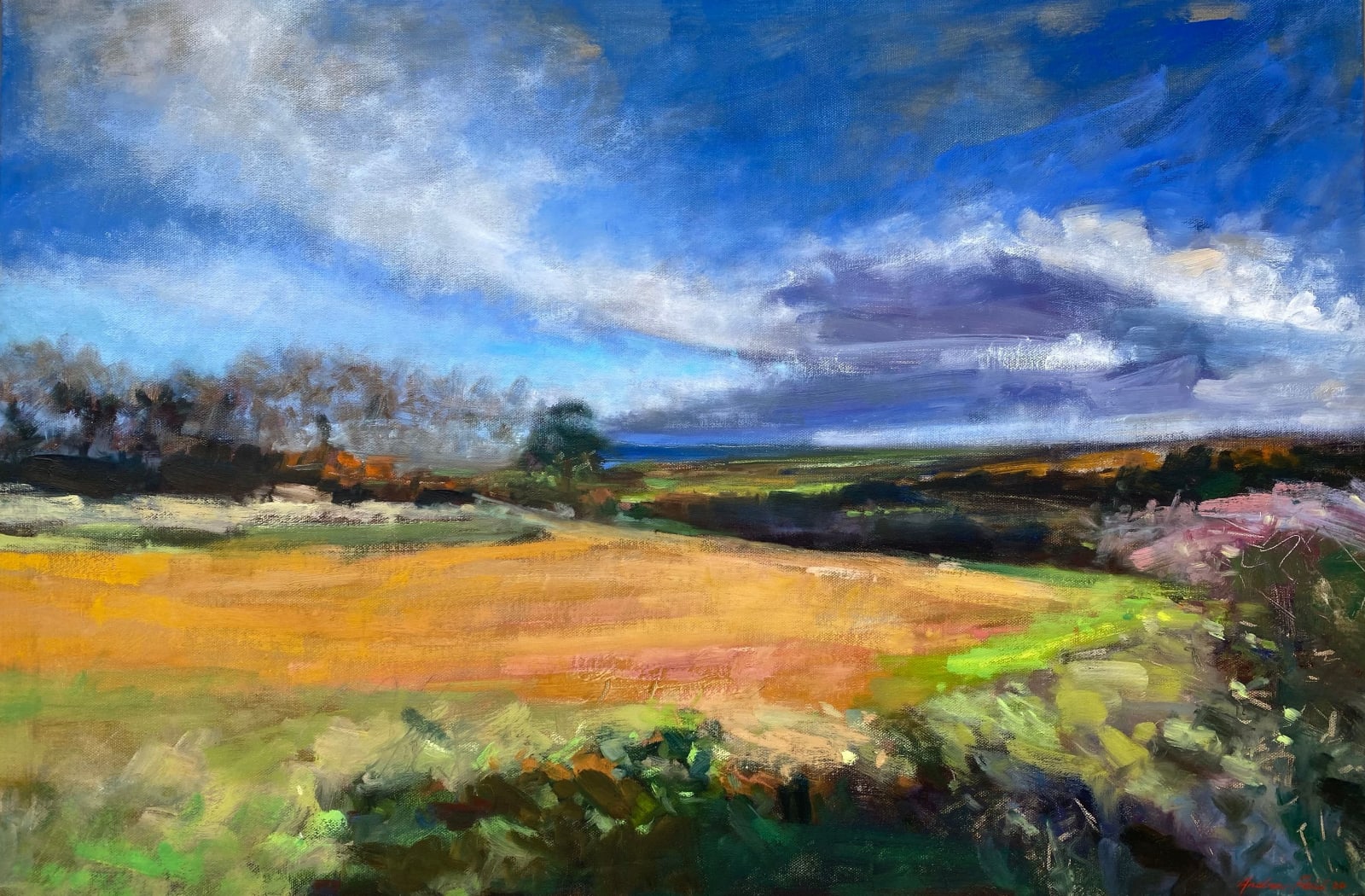 Andrew Field, Yellow Ochre Fields near Icomb, 2024
