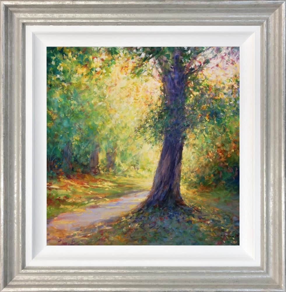 Mariusz Kaldowski, Light Behind an Oak Tree
