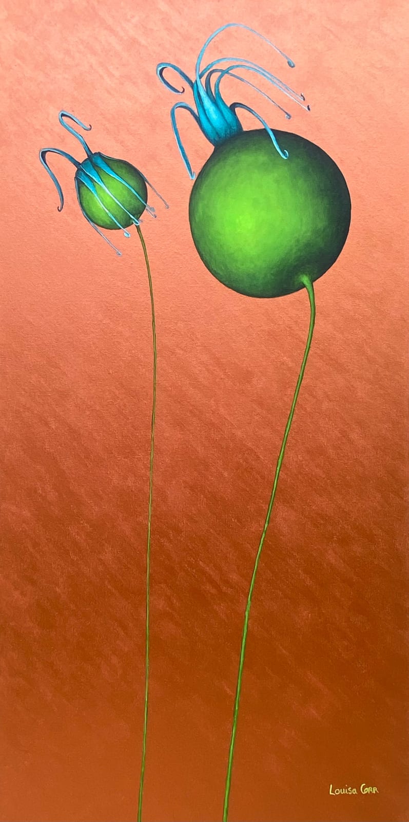 Louisa Corr, Der Wind