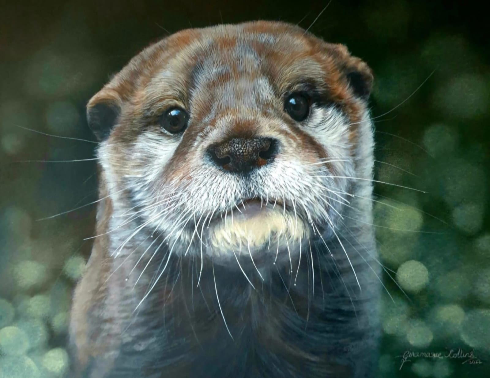 Gina Marie Collins, Dobhran (Otter)