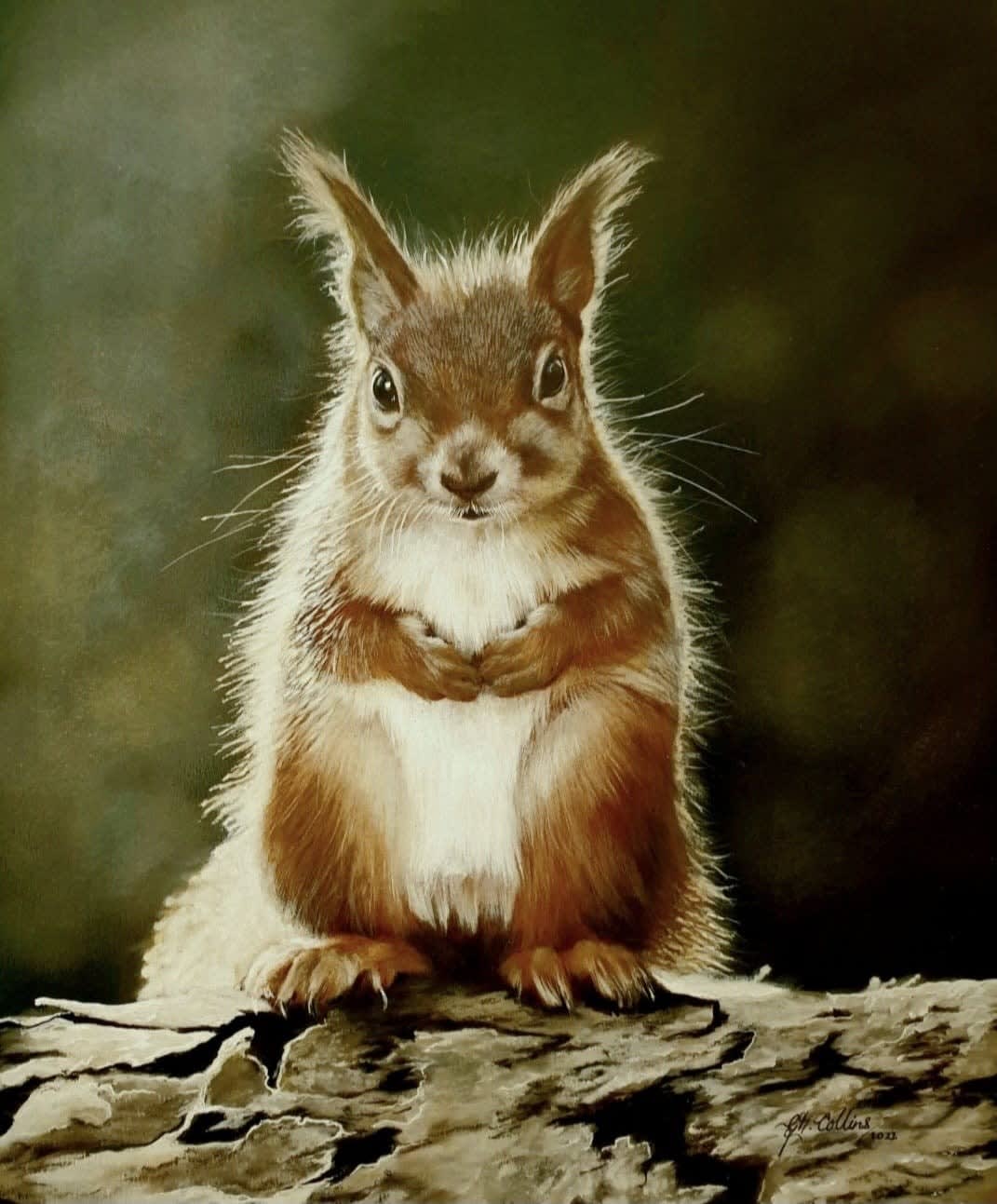 Gina Marie Collins, Ruadh (Squirrel)