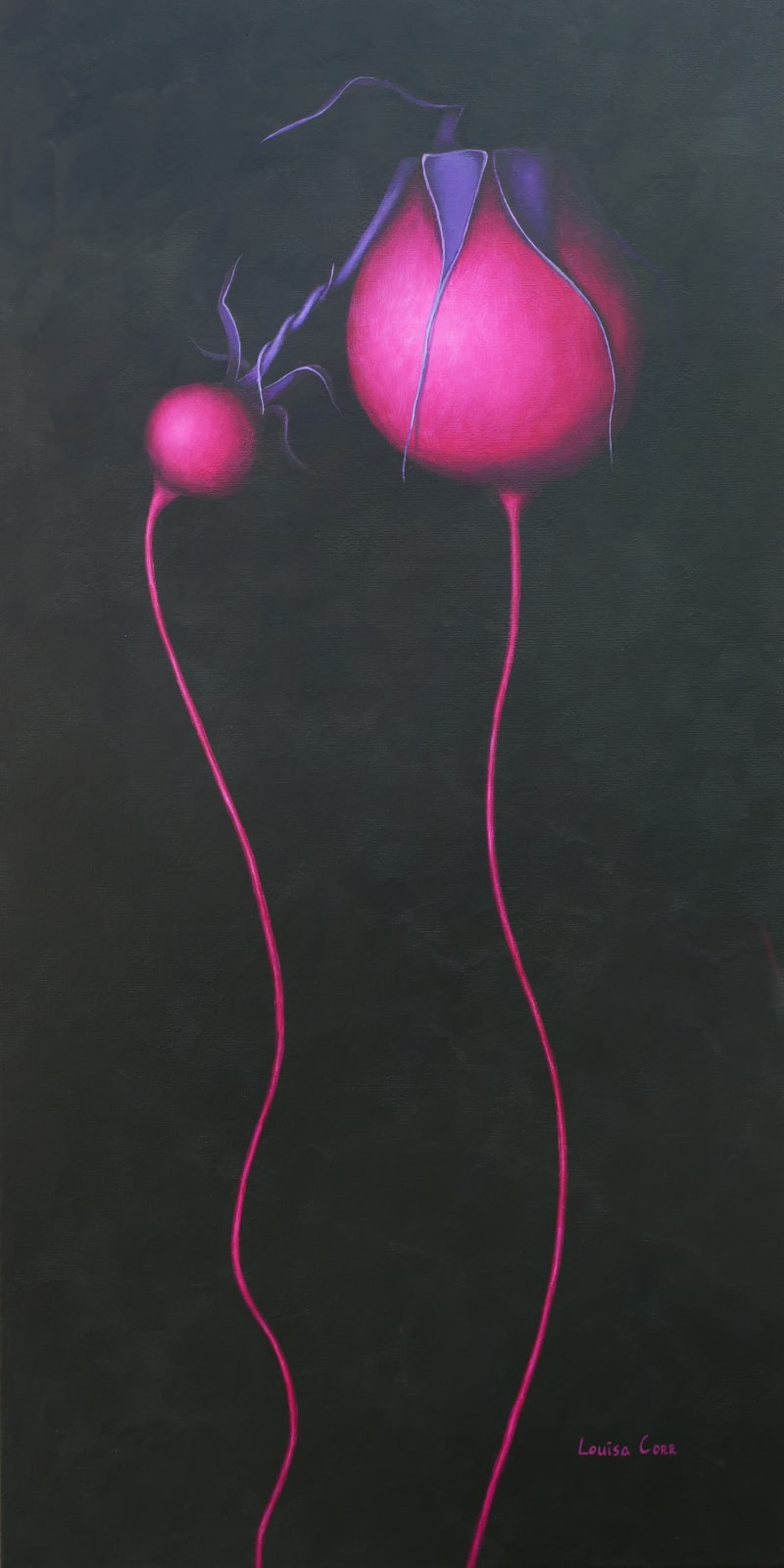 Louisa Corr, Velvet Gravity