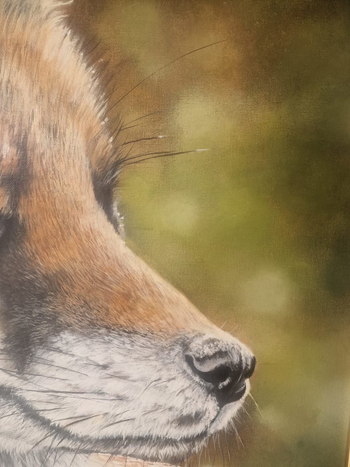 Gina-Marie Collins, Faireachan (Fox)