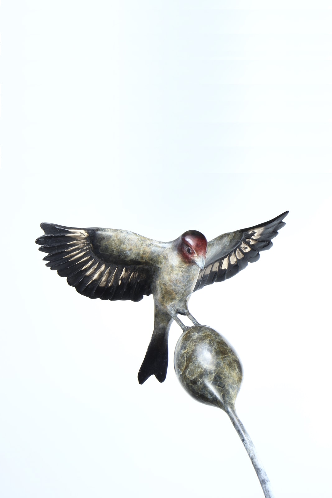 Patrick Bull, Thistle Tweaker'