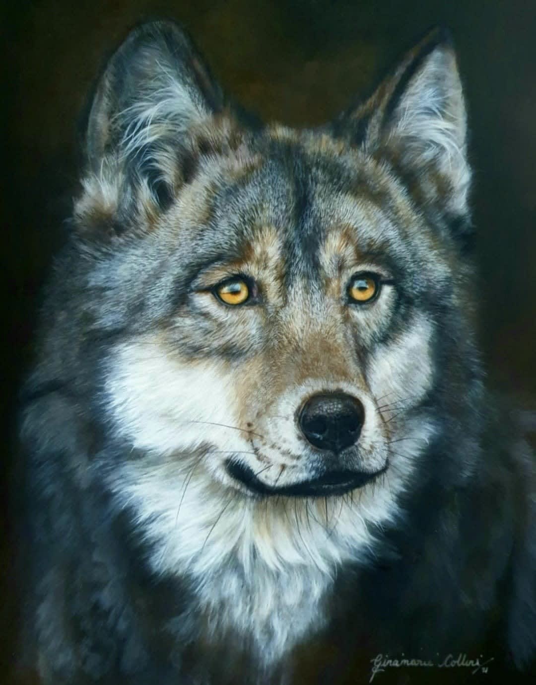 Gina Marie Collins, MacTire (Wolf)