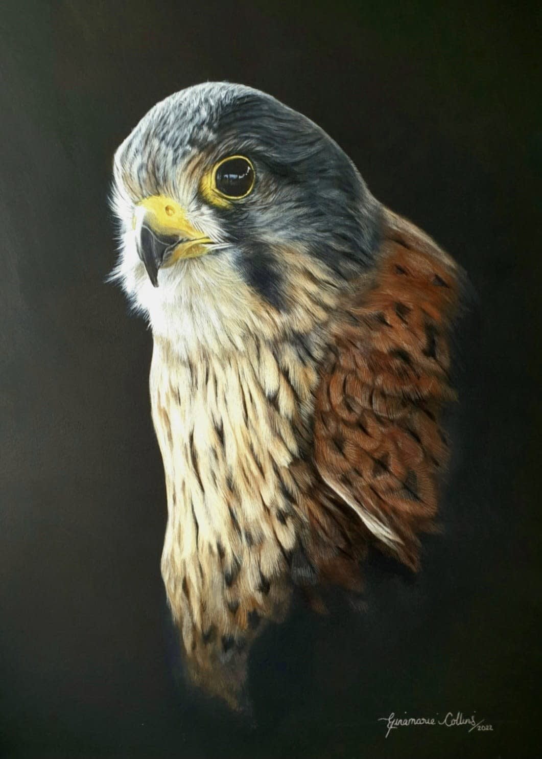 Gina Marie Collins, Pocaire Gaoithe (Kestrel)