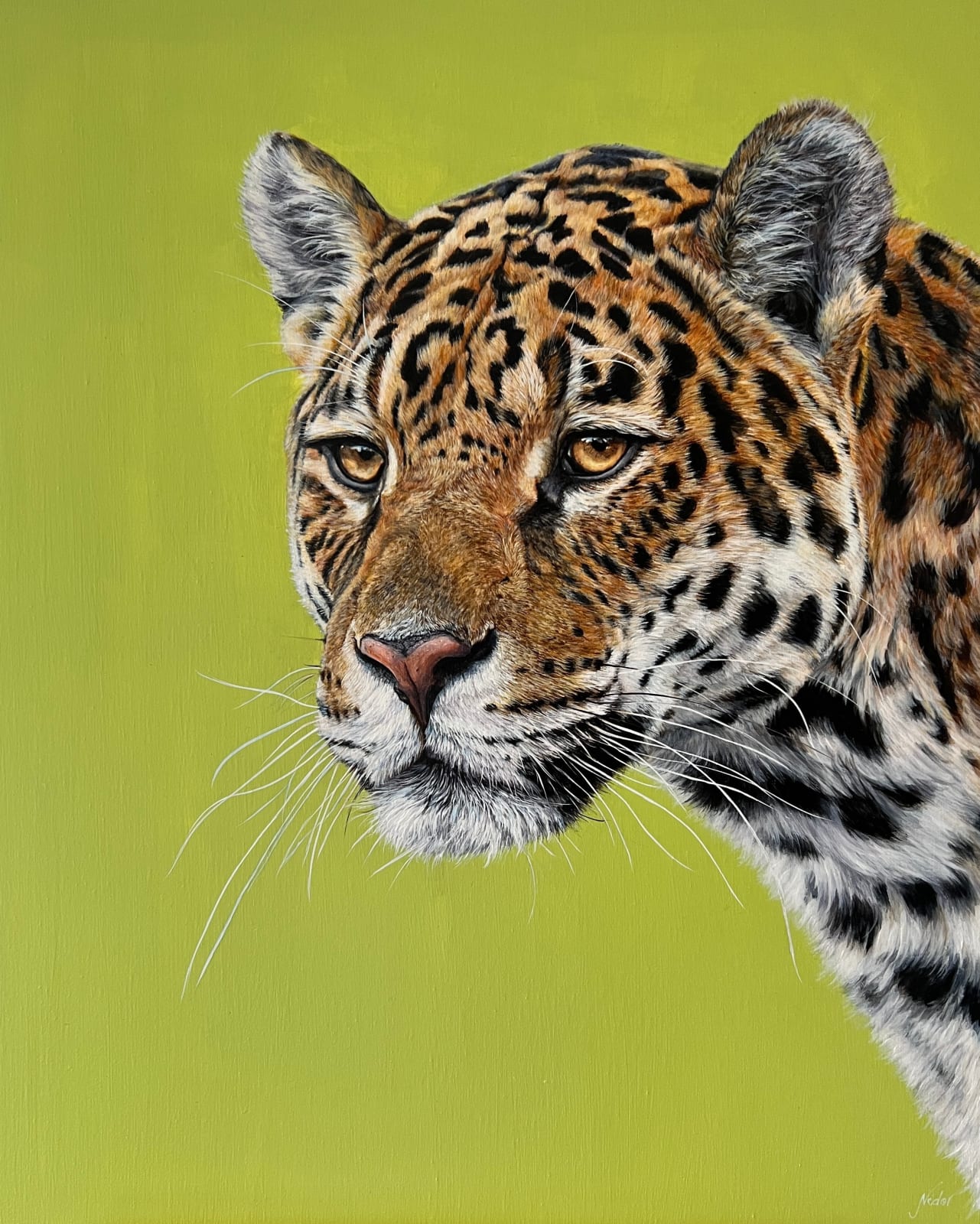 Jaguar on Ochre background 
