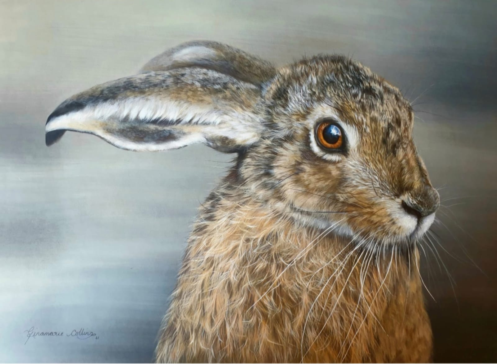 Gina Marie Collins, Giorria (Hare)