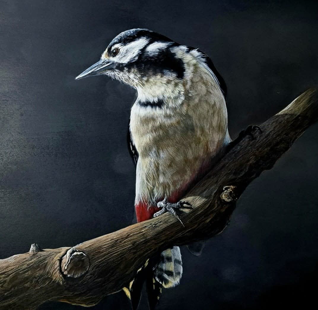 Gina Marie Collins, Yaffle Weald (Spotted Woodpecker)
