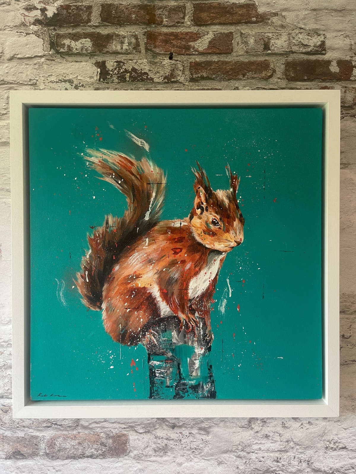 Squirrel on green teal background
