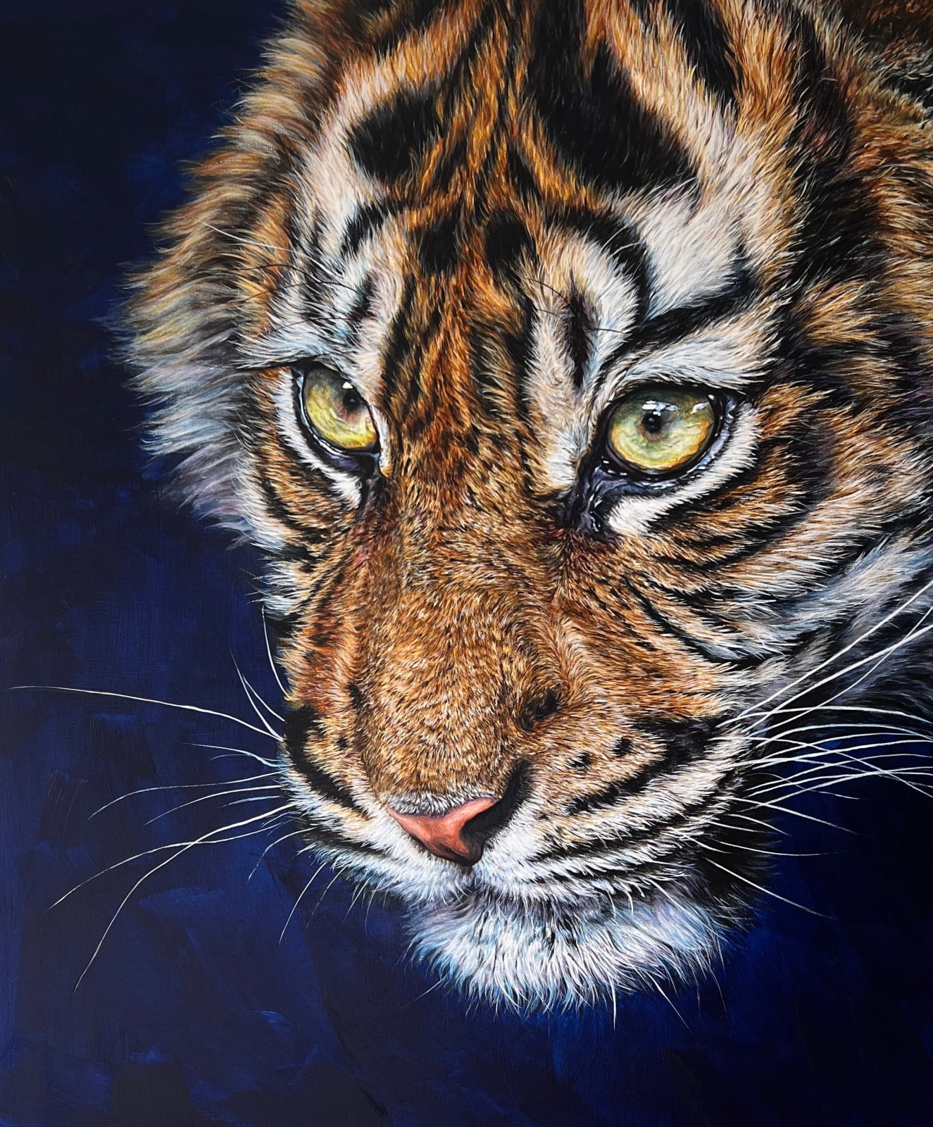 Sumatran Tiger Cub