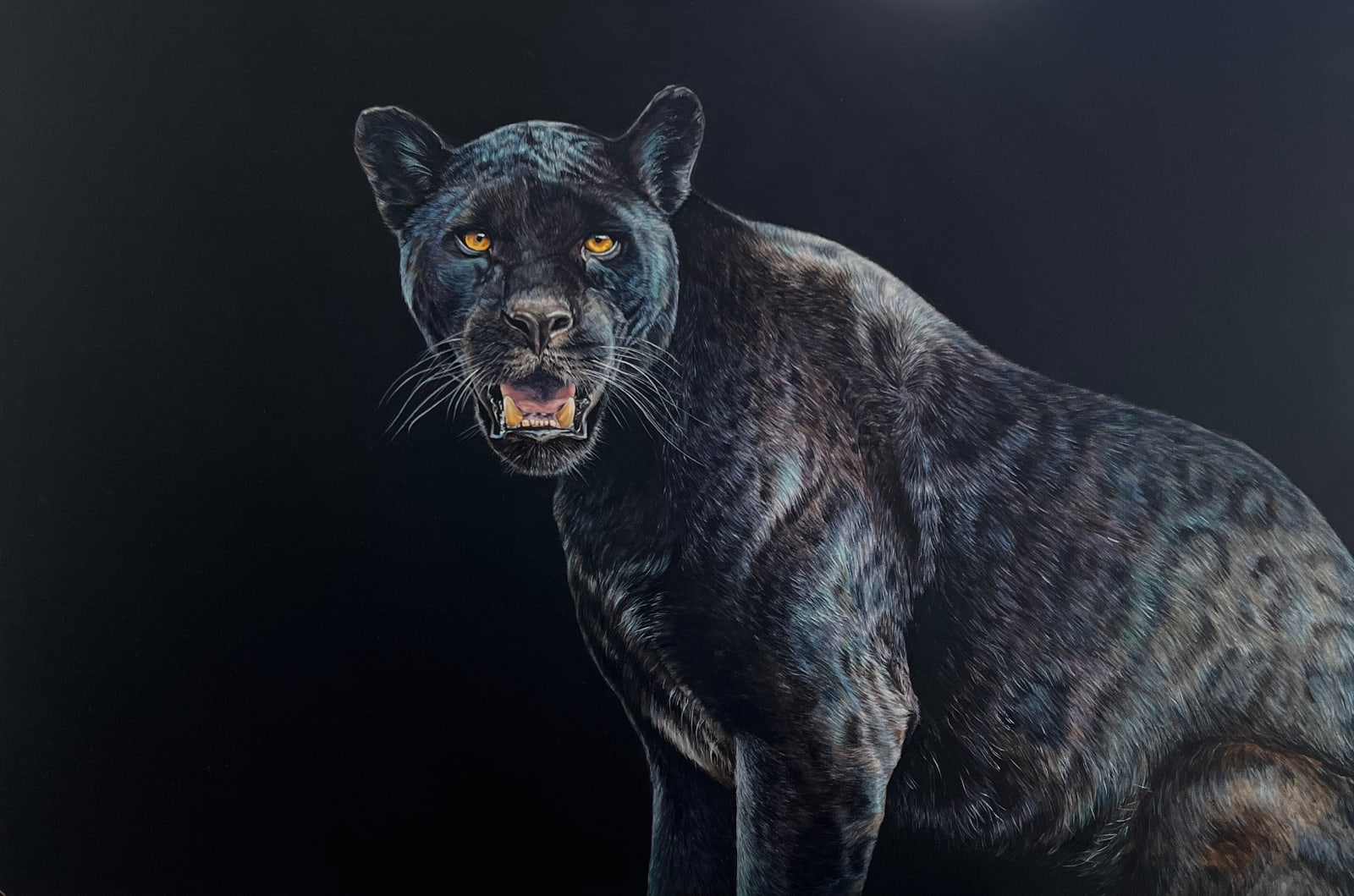 Judit Neder, Cat in Black, 2023