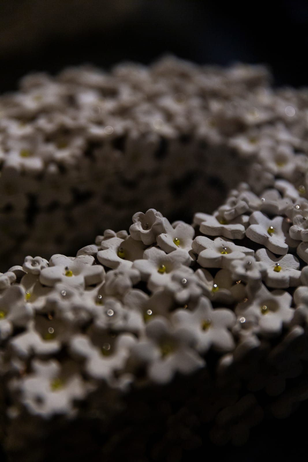 Kyra Mancktelow, UNJUST, 2023-24