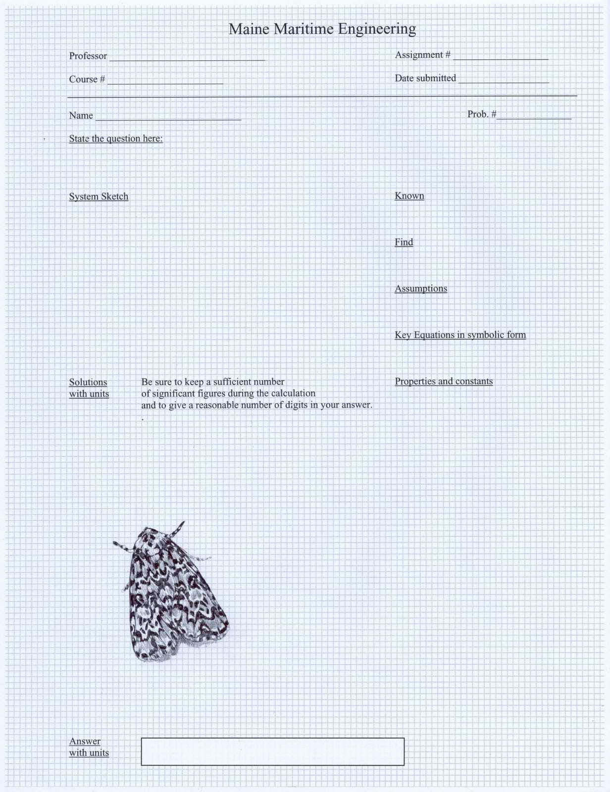 Neva Hosking, Moth VII, 2024