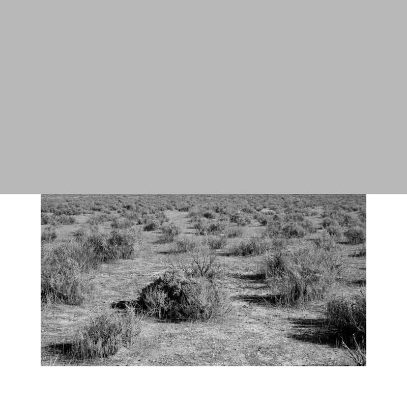 James Tylor, Economics of Minerals Series, 2020