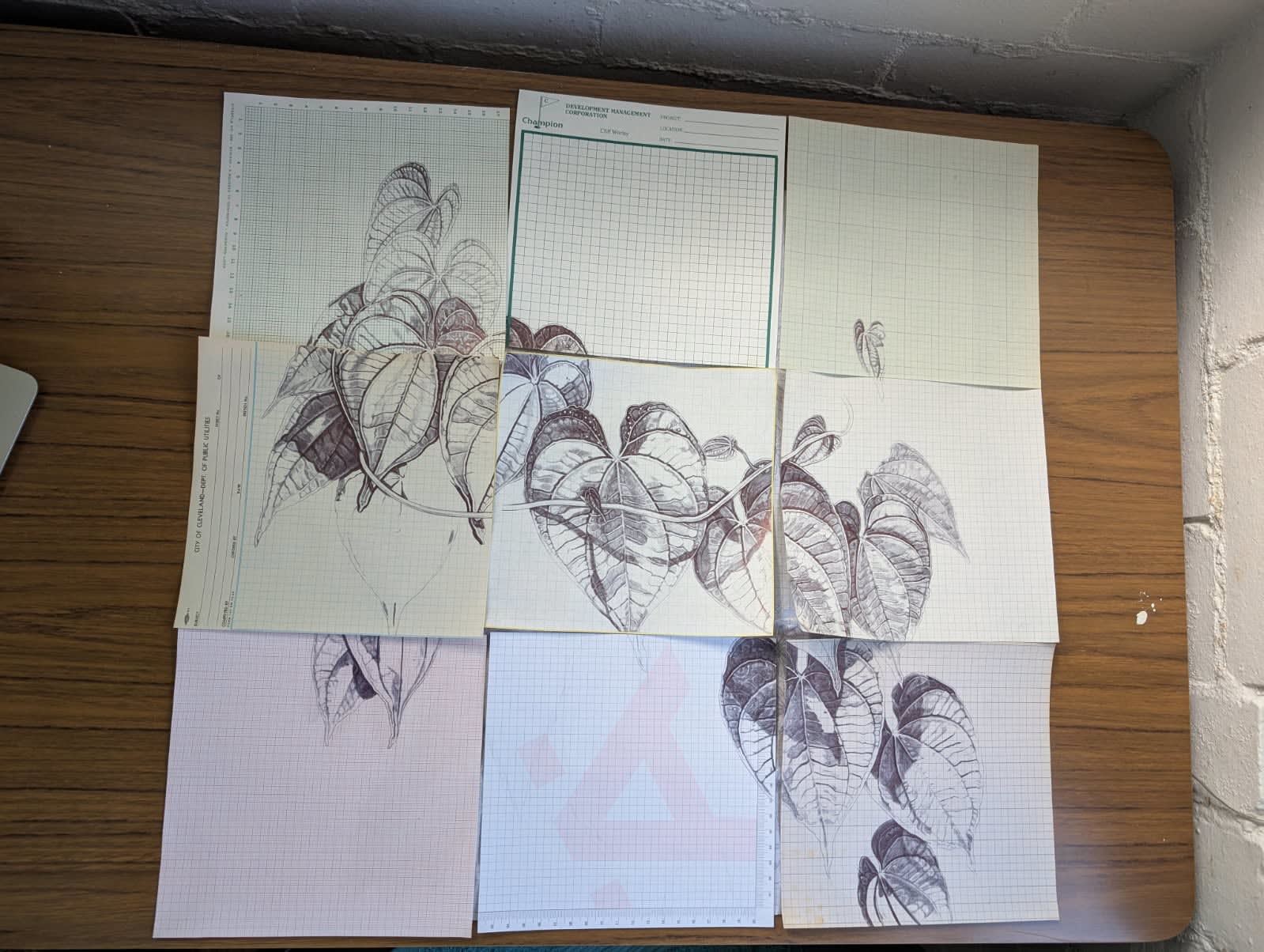 Neva Hosking, (tbc - WOP), 2025