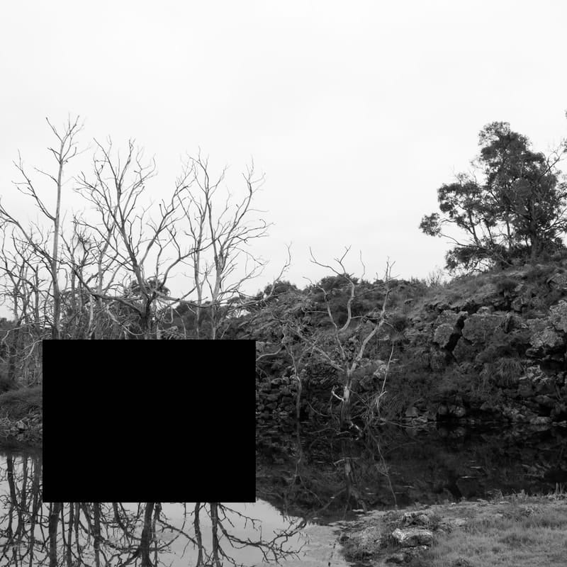 James Tylor, (Removed Scenes) From an Untouched Landscape series, 2018