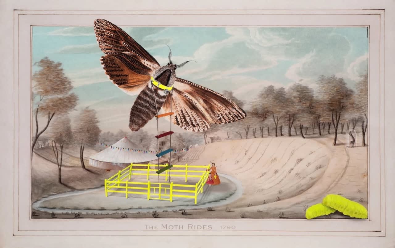Joan Ross, The Moth Rides, 2025