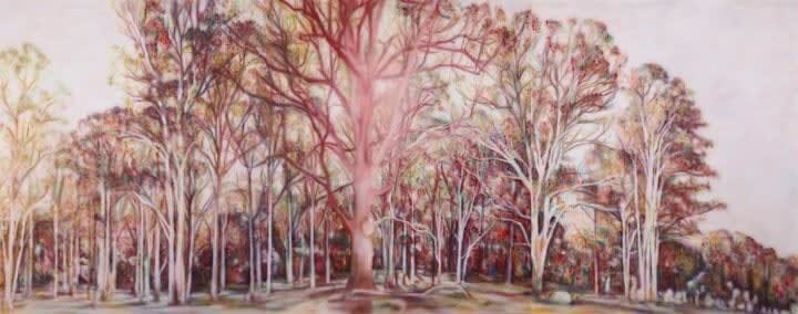 Fiona Lowry, a rain of falling cinders, 2015