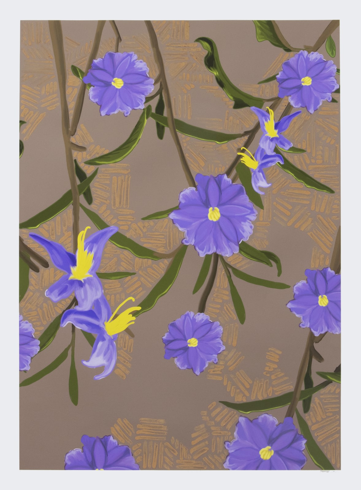 Dylan Mooney, Solanum Graniticum – Granite Nightshade, 2022