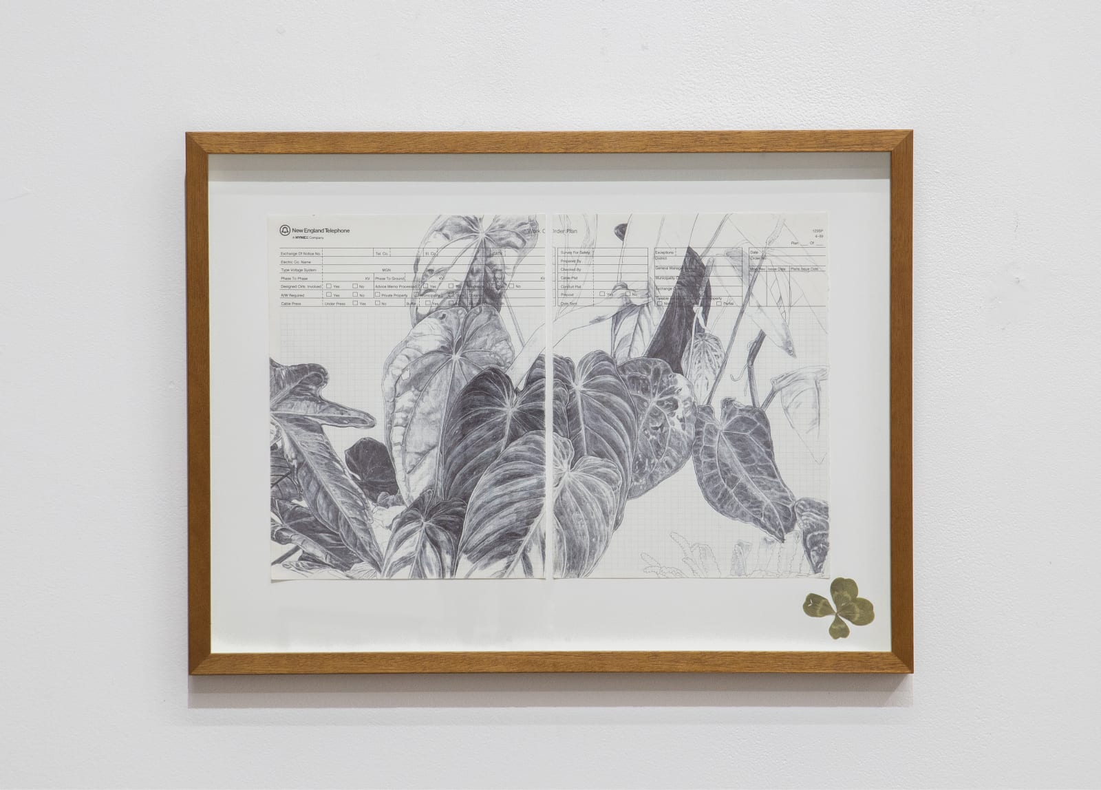 Neva Hosking, The Last Garden on Loftus Crescent XI, 2022