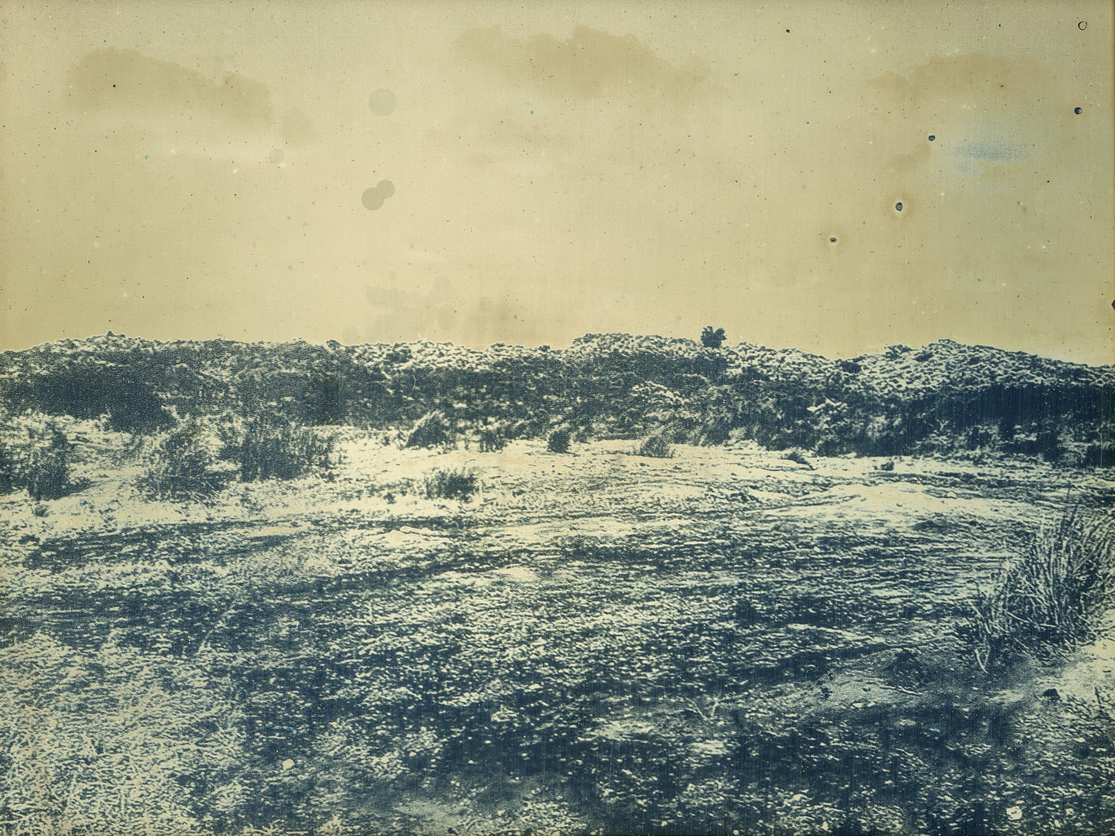 James Tylor, Tarniyandingga Moana, 2022