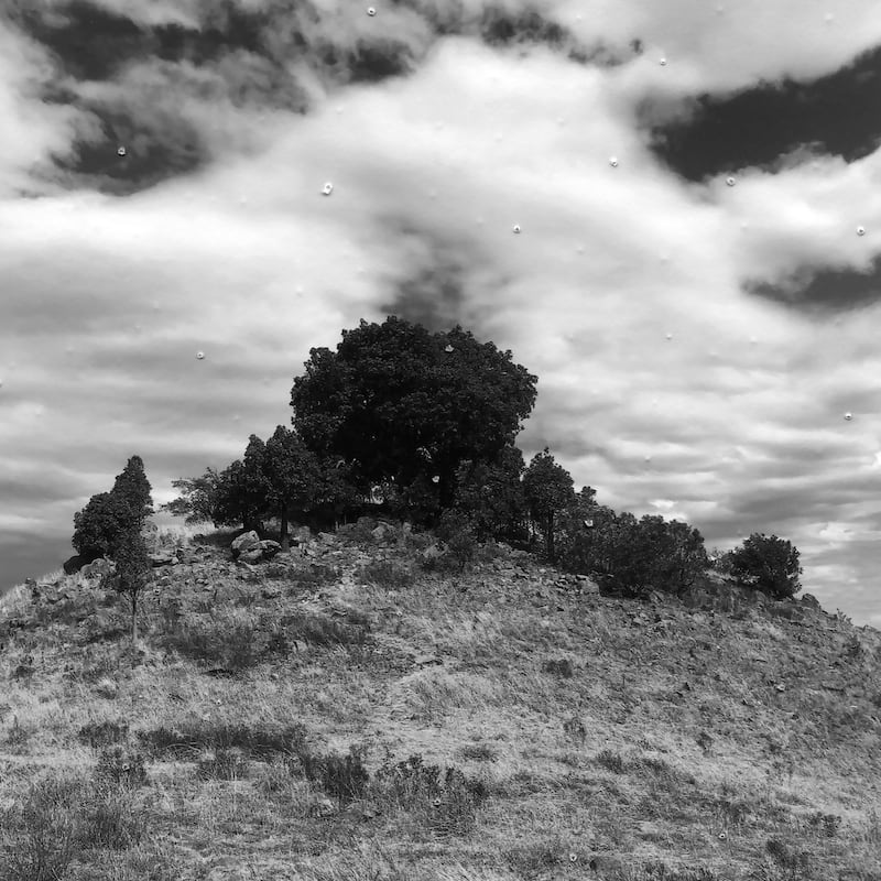 James Tylor, Nguya Smallpox Ngarigu people, 2020