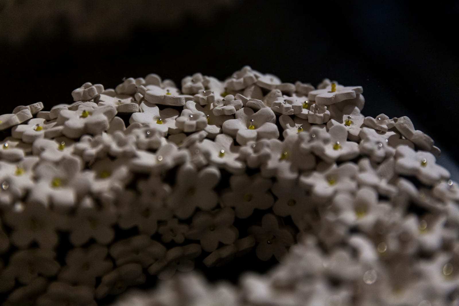 Kyra Mancktelow, UNJUST, 2023-24