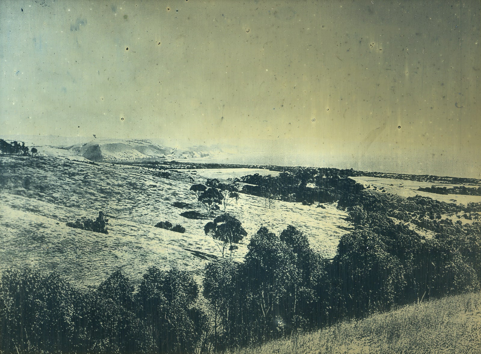 James Tylor, Pangkarla Normanville, 2022