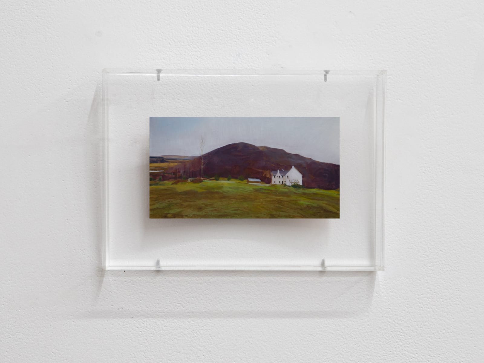 Natasha Walsh, The Garden of Skye, 2021