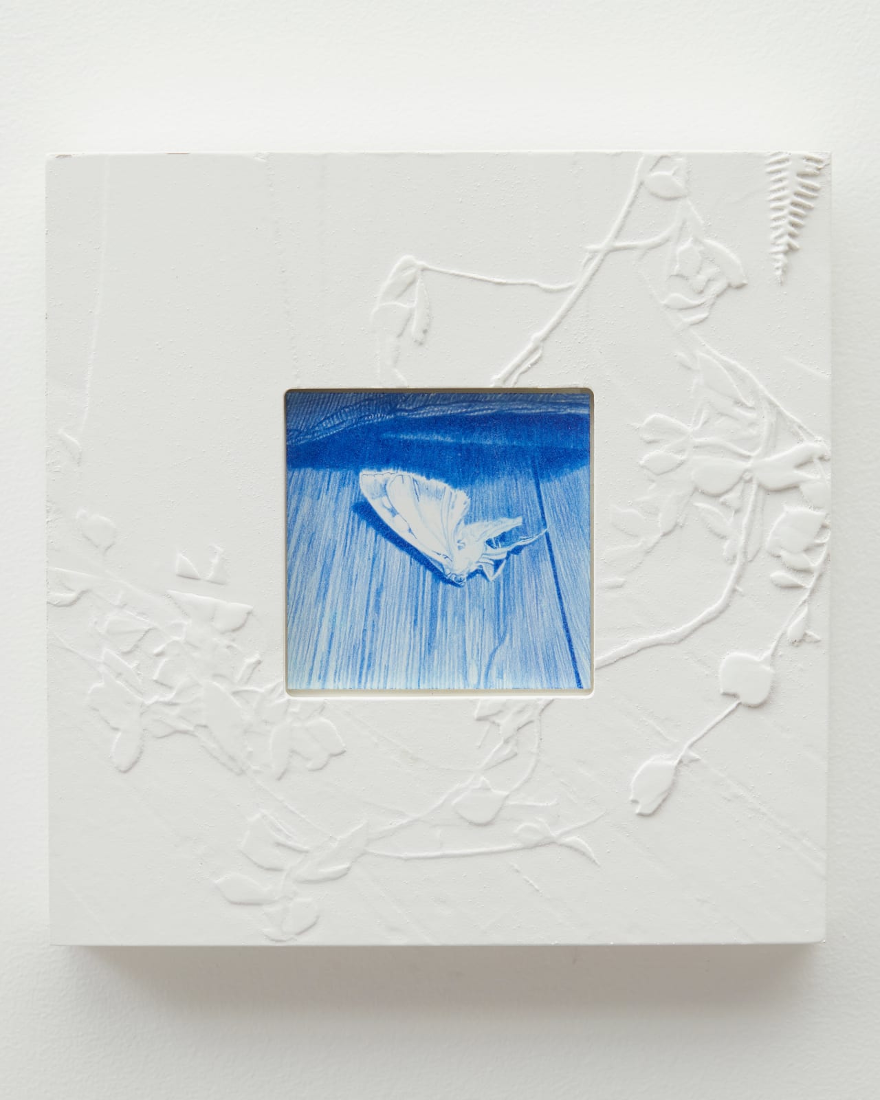 Photo credit: Alfonso Chavez-Lujan