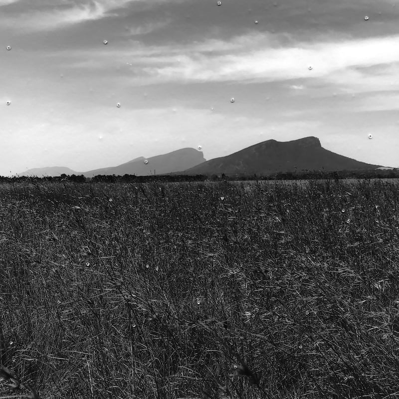 James Tylor, Nguya Smallpox Djab Wurrung People, 2020