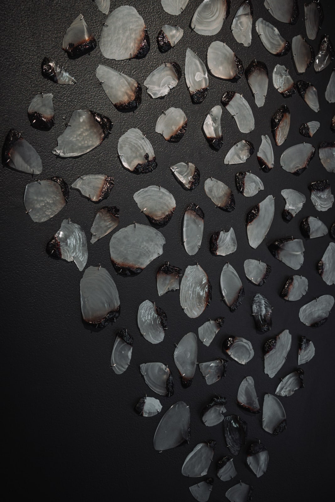 Aidan Hartshorn, Accession 2025.04.001-103, 2025