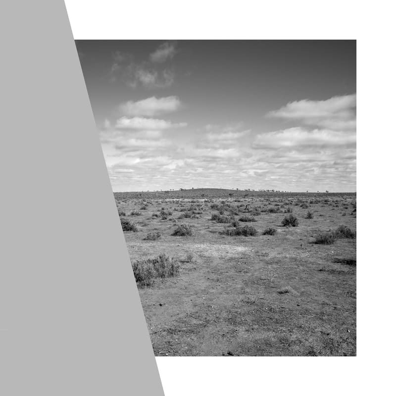 James Tylor, Economics of Minerals Series, 2020