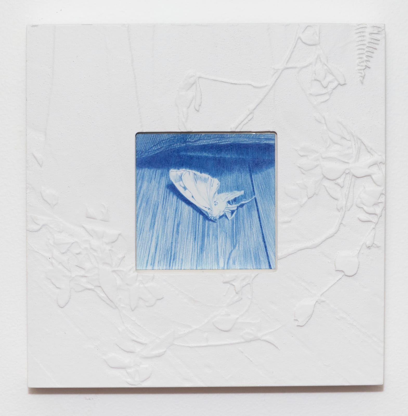 Natasha Walsh, Pale wings, 2025