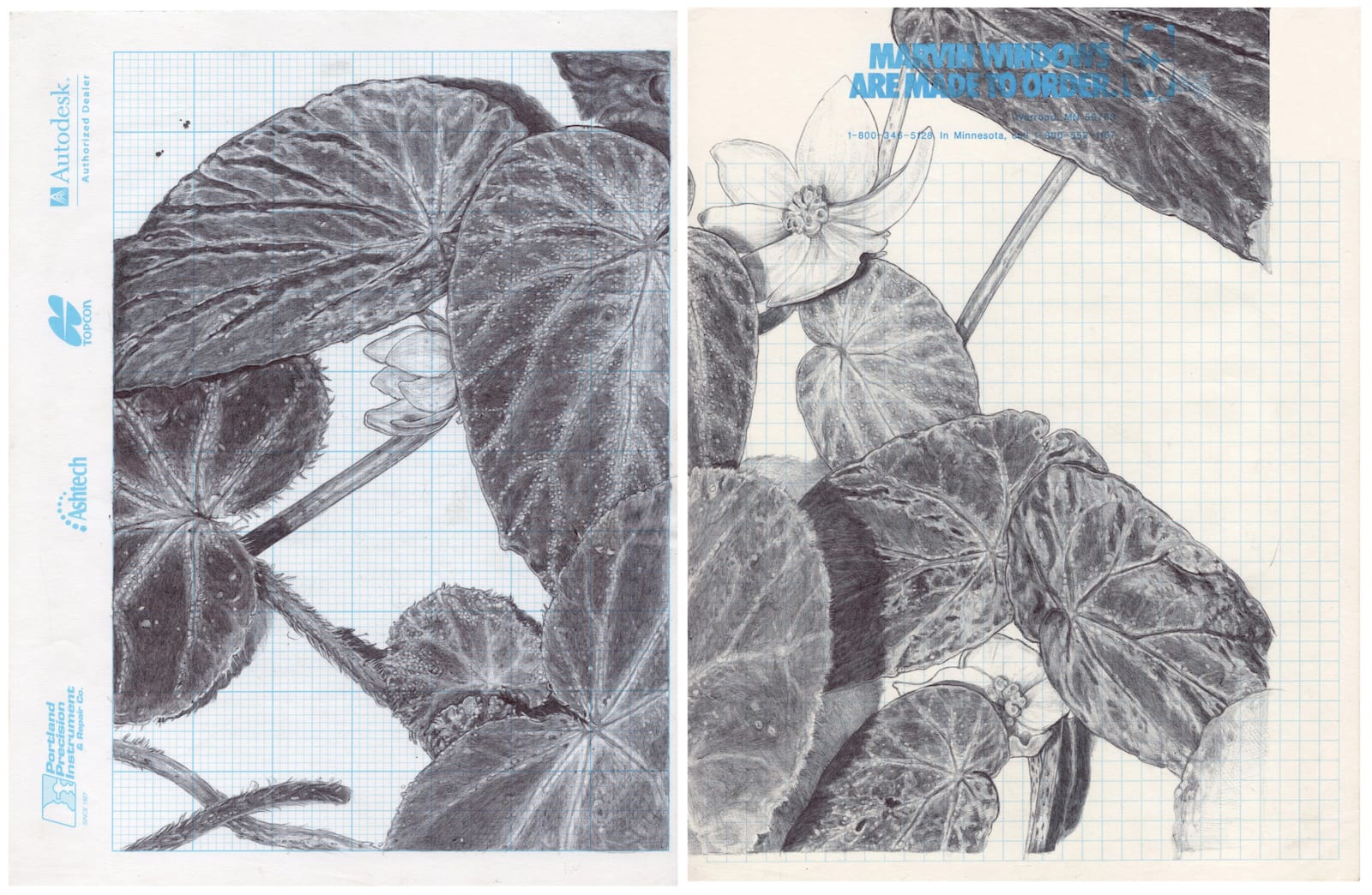 Neva Hosking, The Last Garden on Loftus Crescent VII, 2021