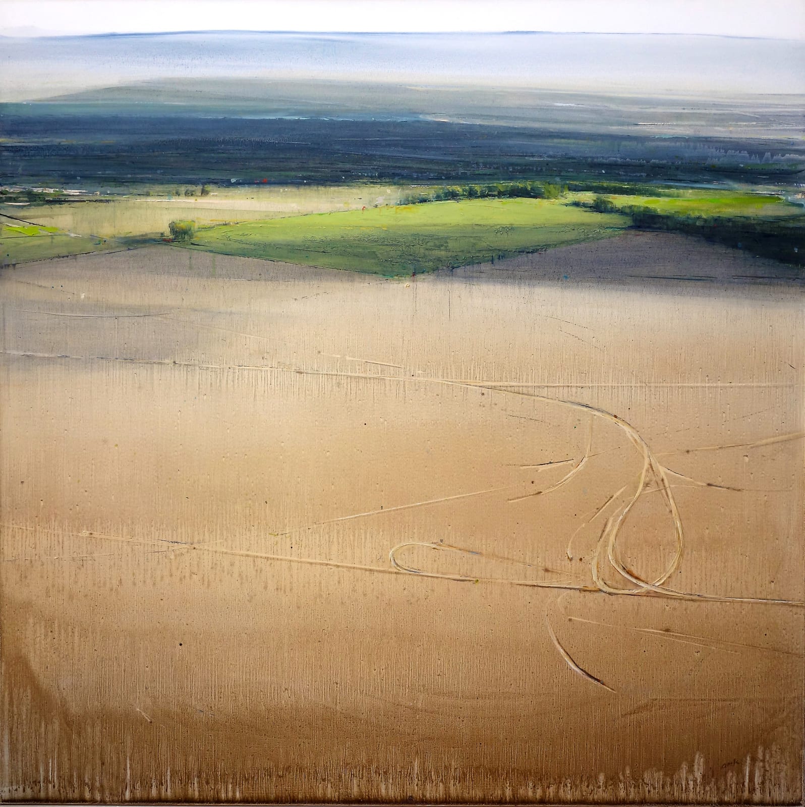 Anne Kaferle, Clover