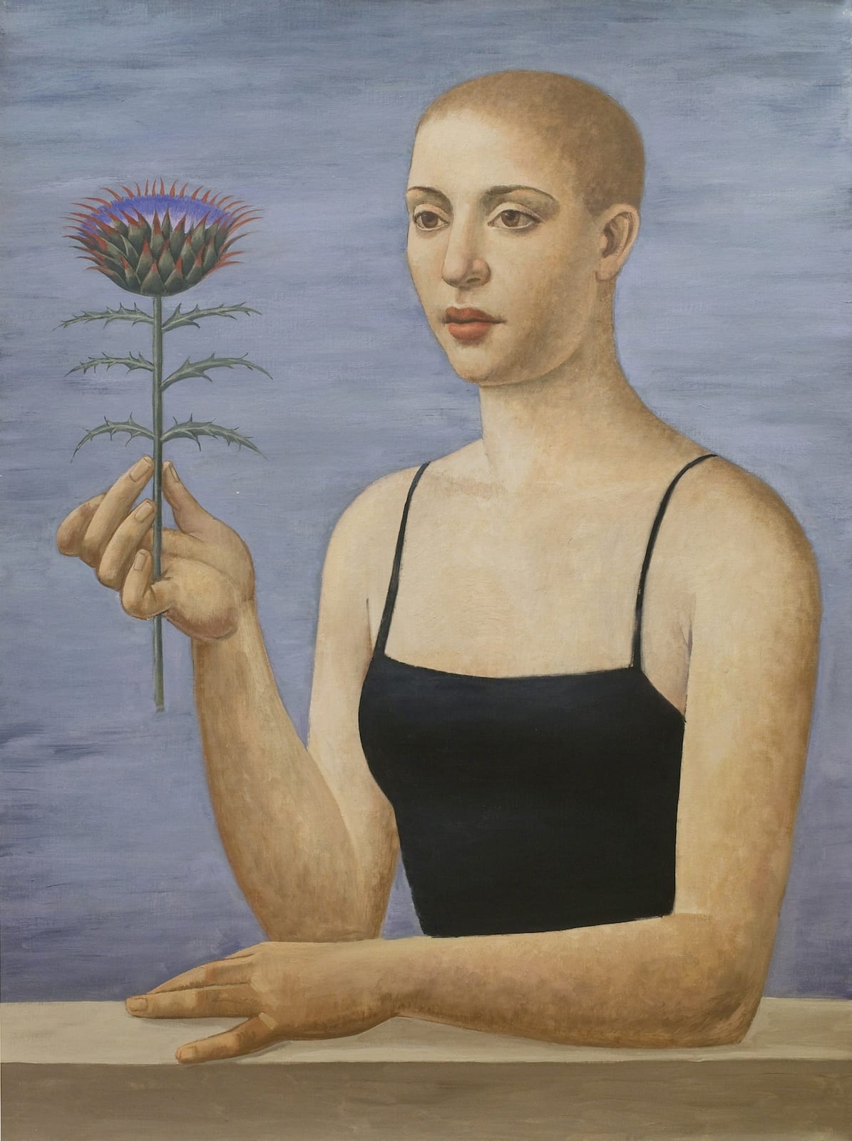 Alberto Gálvez, cina de flora