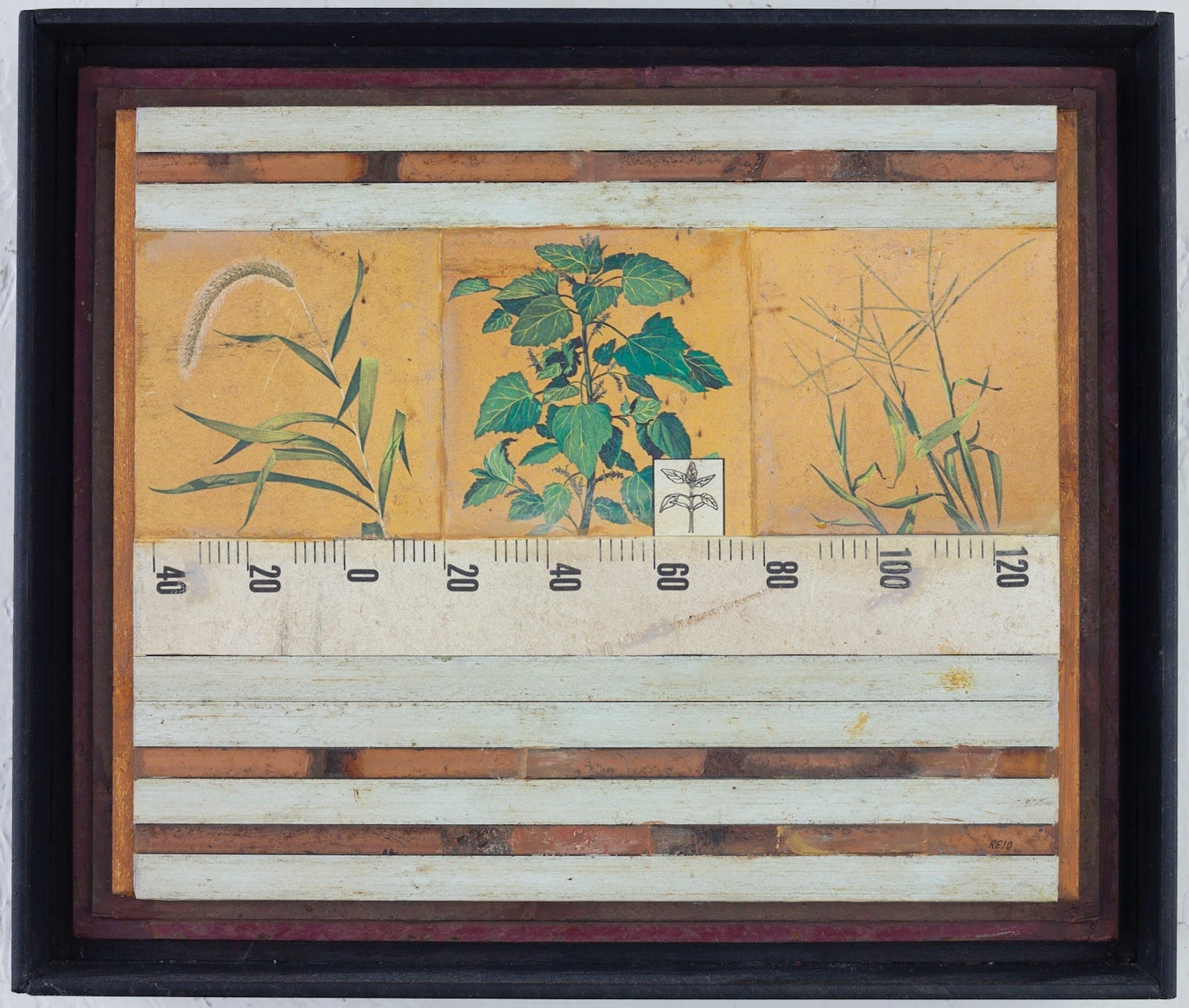 Randall Reid, Weeds in the Sun