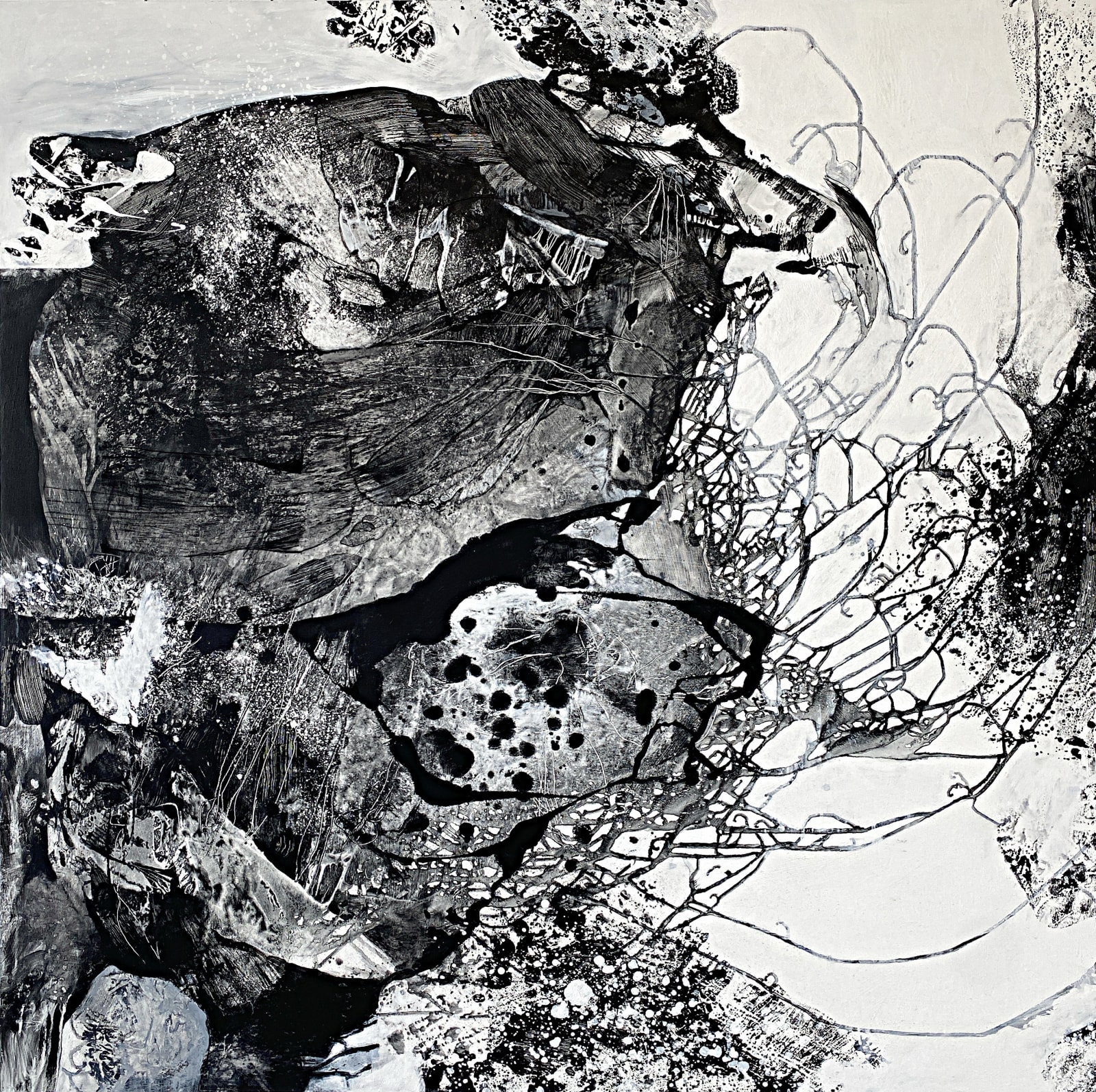 Shar Coulson, Crystal Clear Lunacy FFF262