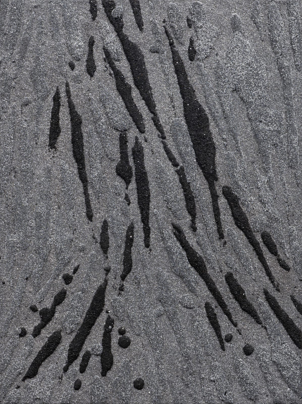 William T Carson, Speckled Bird