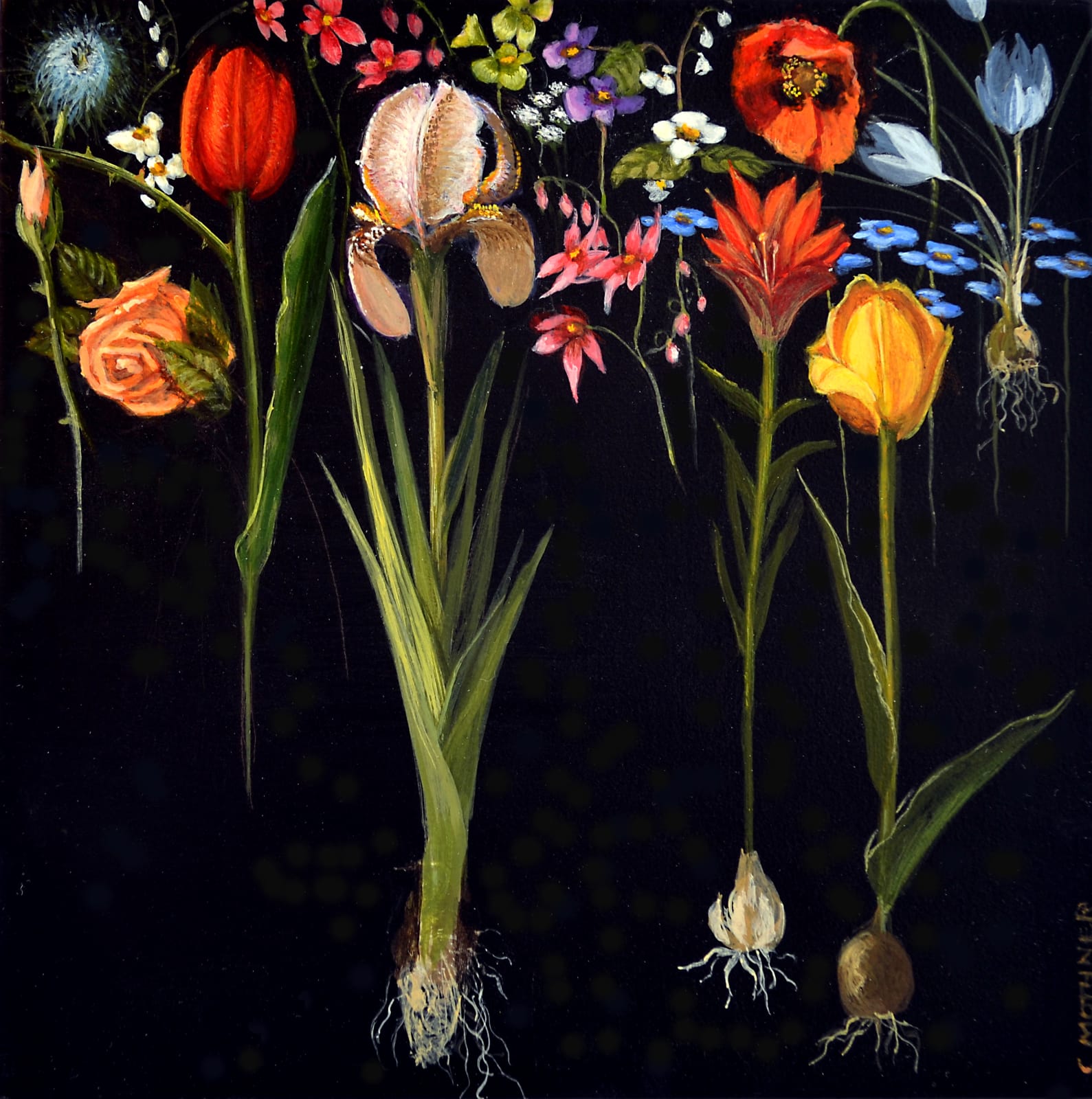 Carol Mothner, Botanical Mélange 1