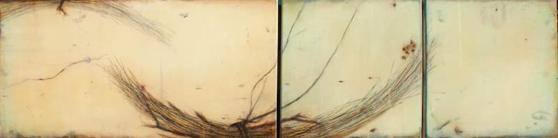 Rob Douglas, Silentium l (triptych)