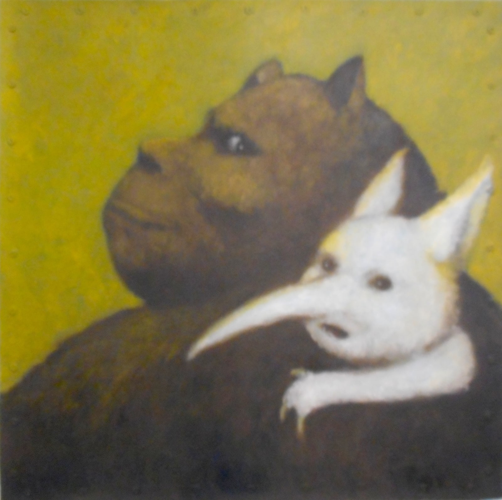 Santiago Perez, Roger and Crazy