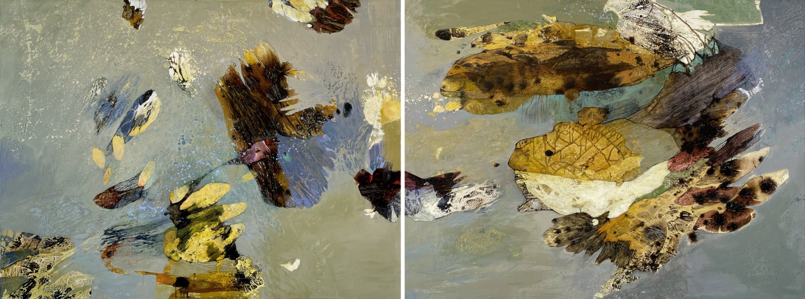 Shar Coulson, FaunaFloraFigure193