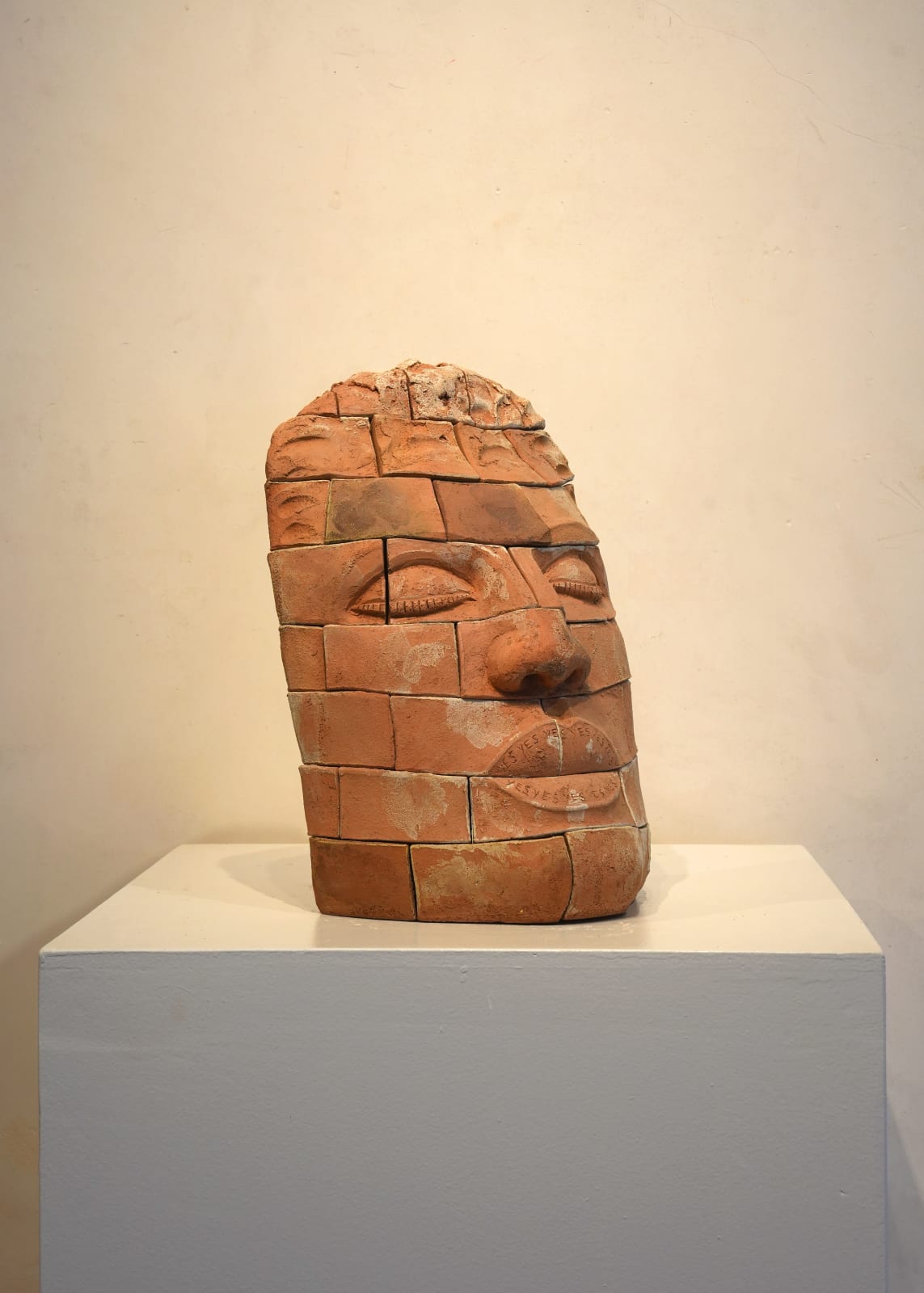 James Tyler, Brickface Yes