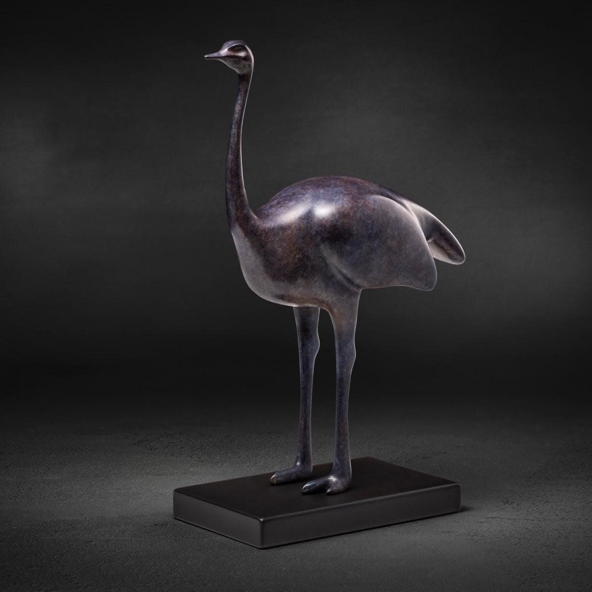 Giuseppe Maiorana, Struzzo, 2024